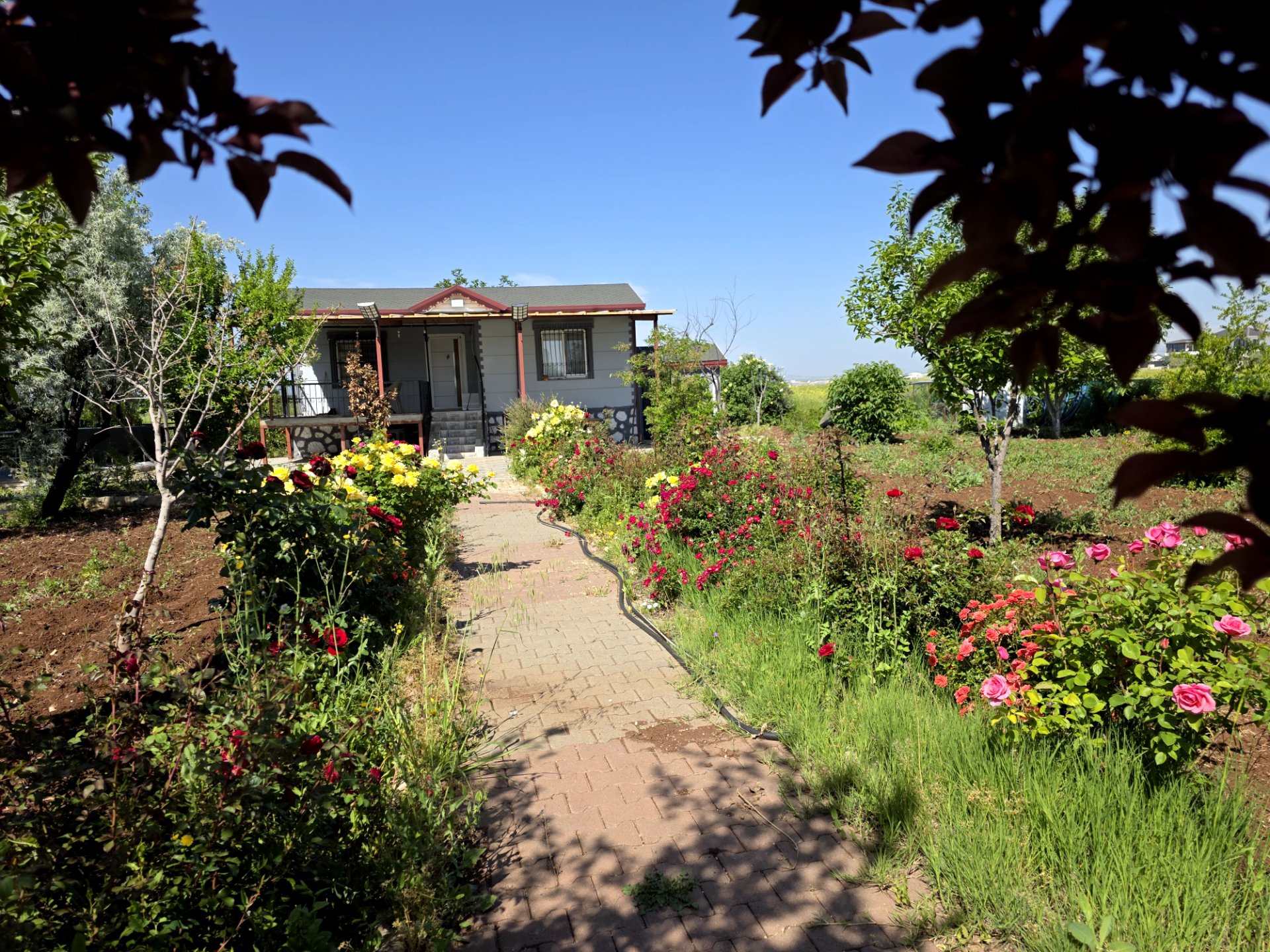 BÜYÜKKAVAKLI KÖYÜNDE YAPI RUHSATLI 1.780 M2 ARSALI BAĞEVİ 