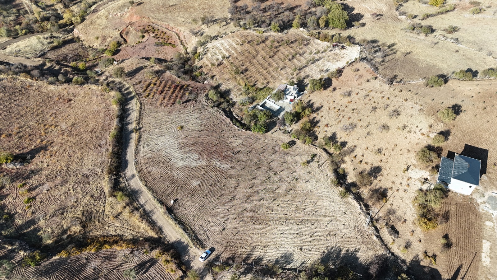 ŞEHRİN BİTİŞİĞİNDE HAVUZLU BAĞ EVİ VE 13 DÖNÜM BAHÇE SATILIKTIR